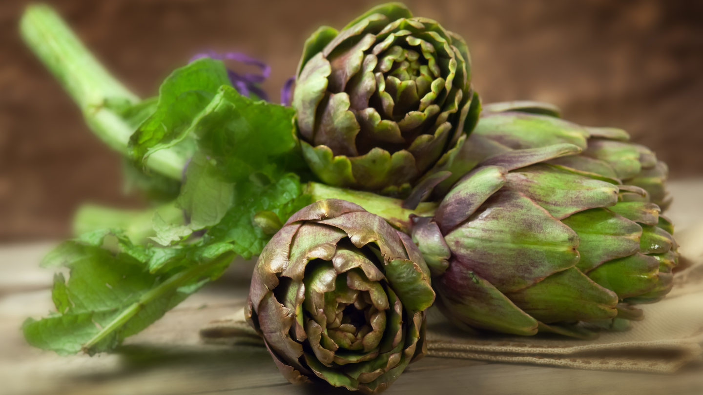 Cynamed, ekstrak artichoke yang kaya akan inulin