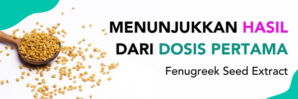 kelebihan fenugreek ekstrak