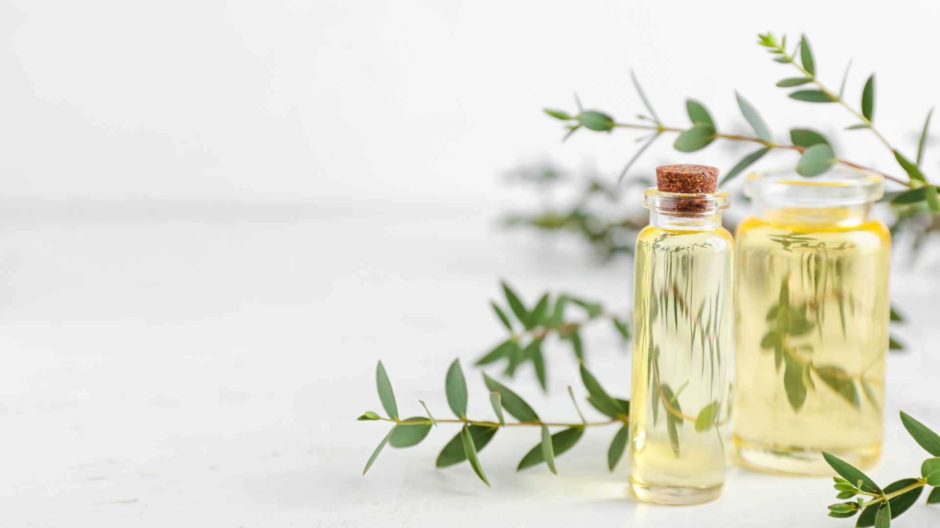 Eucalyptus Oil