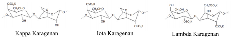 jenis-struktur-karagenan